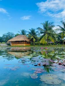 Природа в окрестностях курортного отеля