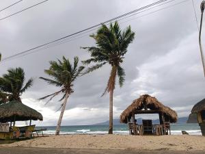 Φυσικό τοπίο κοντά σε αυτό το bed & breakfast +6 φωτογραφίες