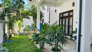 Aed väljaspool majutusasutust The Palazzo - Weligama