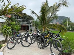 Jízda na kole v ubytování Tam Coc Minh Quân Homestay nebo okolí