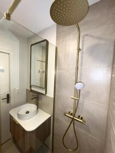 a bathroom with a shower and a toilet in it at Charming 2-room apartment, Grand Annecy in Meythet