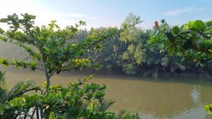 Příroda nedaleko apartmánu + 91 fotografií