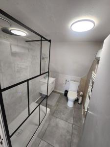 une salle de bain avec WC et douche à l'italienne dans l'établissement Gîte du logelbach, à Wintzenheim 24 autres photos