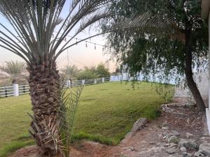 O grădină în afara Project ADAM