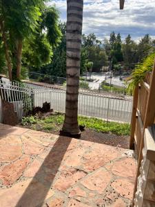 una palmera sentada junto a una valla en The Perfect studio, en Riverside