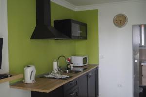 a kitchen with green walls and a counter with a sink at Loma Dos, Arguineguin in La Playa de Arguineguín