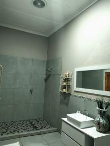 a bathroom with a sink and a shower with a mirror at Splash 9 in Trompsburg