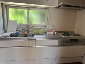 Kuchyň nebo kuchyňský kout v ubytování Live Villa 宮古ブルー