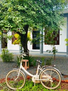 rower zaparkowany obok drzewa przed budynkiem w obiekcie Vibra Hostel w mieście Sigirija