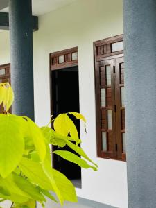 zielona roślina przed budynkiem z drzwiami w obiekcie Vibra Hostel w mieście Sigirija