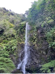 una cascada a un lado de una montaña en En- Hostel & Café bar, en Amami