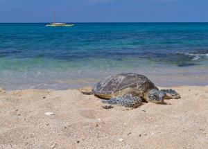 Φυσικό τοπίο κοντά σε αυτή η παραθεριστική κατοικία
