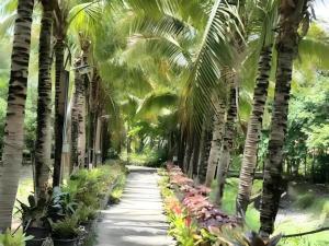 Zahrada ubytování Rai Sai Luang Resort