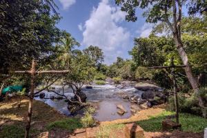 阿西拉帕利Palatty's Resorts的森林中央有一条河，河中央立着一个十字架。