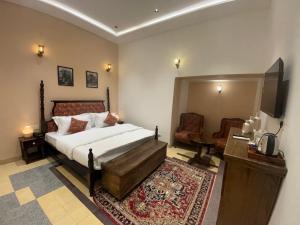 焦特布尔Surya Niwas Boutique Hotel & Garden的一间卧室配有一张床、一台电视和一把椅子