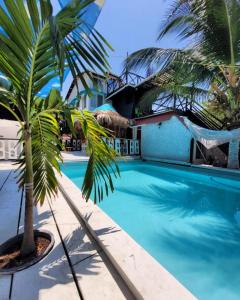 una palma accanto alla piscina di Sabaleo Beach House a Cartagena de Indias