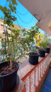 Φωτογραφία από το άλμπουμ του Deeptis Guest House σε Candolim +8 φωτογραφίες