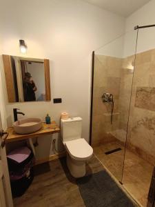 un bagno con wc, lavandino e doccia di La Canton ad Adunaţi