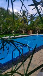 Φωτογραφία από το άλμπουμ του Thidasa Serenity σε Piliyandala