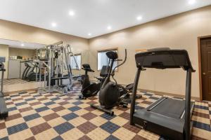 Fitness centrum a/nebo fitness zařízení v ubytování Comfort Inn Iron Mountain North