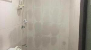 une salle de bain avec douche et toilettes dans l'établissement Jeamco Royal Hotel - Baybay, à Baybay 94 autres photos