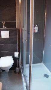 La salle de bains est pourvue d'une douche et de toilettes. dans l'établissement L appart de la place Ste Catherine, à Honfleur