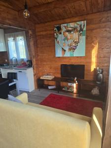 Μια τηλεόραση ή/και κέντρο ψυχαγωγίας στο Chalé de campo