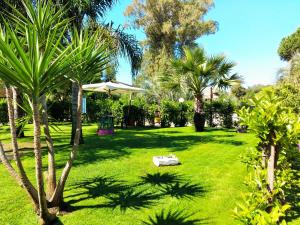 Gallery image of Agriturismo Fratelli Mizzon in Sabaudia