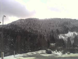 una colina cubierta de nieve con un bosque de árboles en Gite de L'ours, en La Bresse