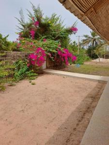 Κήπος έξω από το Maison Diamota