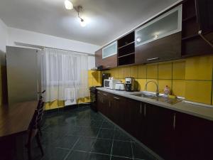 a kitchen with a sink and a counter top at AARON Apartament in Craiova