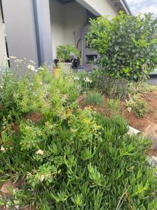 Fotografie z fotogalerie ubytování Pule's Home & Studio Apartments v destinaci Maseru