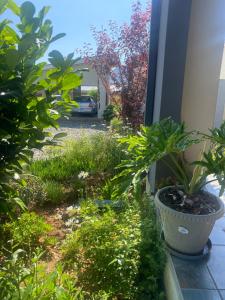 Fotografie z fotogalerie ubytování Pule's Home & Studio Apartments v destinaci Maseru