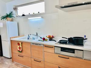 隠れ宿 藤 Private Inn Fuji - 足利駅5分の一棟貸切のお宿 في أشيكاغا: مطبخ مع حوض وموقد الفرن العلوي