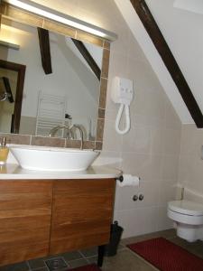 a bathroom with a sink and a toilet at Rooms Bolfan Vinski Vrh in Hrašćina