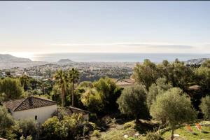 a view of the olive grove from the house at Villa, piscine et vue mer exceptionnelle à Nice in Nice