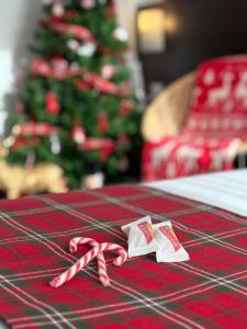 Dos bastones de caramelo sobre una mesa frente a un árbol de Navidad. en The Originals City, Hotel Cap Maya, Cap d'Agde, en Cap d'Agde