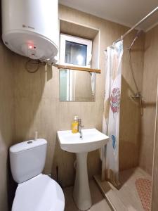 Un baño con inodoro, lavabo y espejo. en 1 комн квартира, свой двор, en Cherkasy 3 fotos más