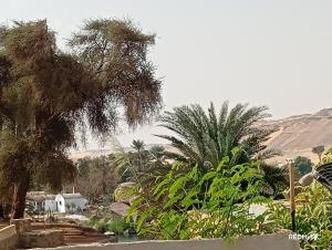 Φυσικό τοπίο κοντά σε αυτός ο ξενώνας