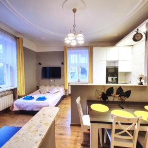 Kuchyň nebo kuchyňský kout v ubytování Willa Barona Przy Termach Cieplickich