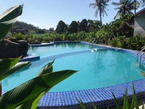 a large swimming pool with blue water at Baiduri's Place in Pantai Cenang