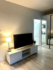 TV a/nebo společenská místnost v ubytování Functional studio in the center