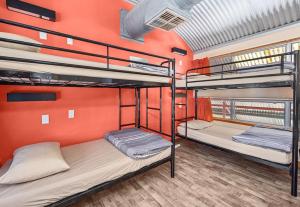 Imagen de la galería de Red Rock Hostel, en Alice Springs