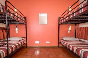 Imagen de la galería de Red Rock Hostel, en Alice Springs