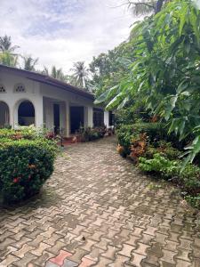 Vườn quanh Serenity Home