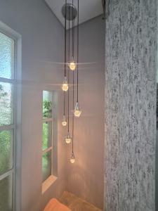 Зображення з фотогалереї помешкання 153A Marshall у місті Полокване