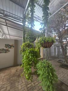 Зображення з фотогалереї помешкання 153A Marshall у місті Полокване