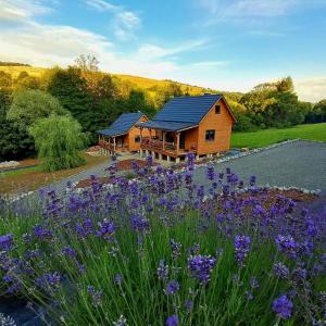 a log cabin with a field of purple flowers at Agroturystyka Lawendowa Dolinka Domki Beskid Niski in Chyrowa