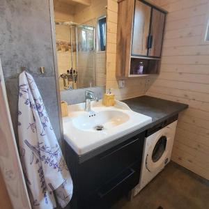 a bathroom with a sink and a washing machine at Agroturystyka Lawendowa Dolinka Domki Beskid Niski in Chyrowa