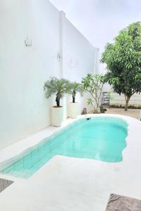 a swimming pool in the middle of a white wall with plants at Floraison Living Villa Yogyakarta in Ngaglik